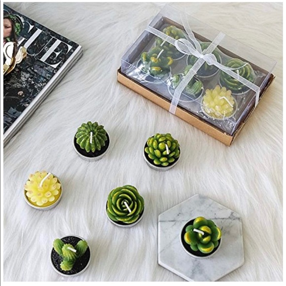 🌱NWT Succulent Candles🌱 - Picture 2 of 5